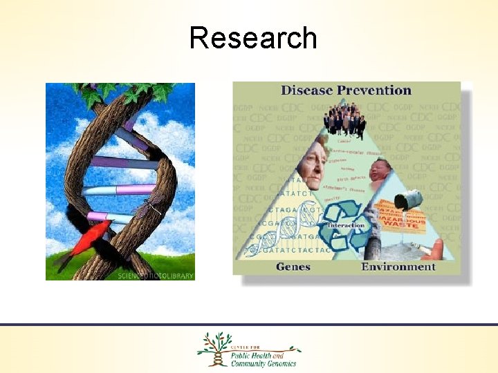 Research 