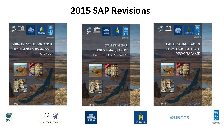2015 SAP Revisions 18 