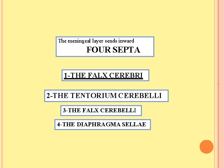 The meningeal layer sends inward FOUR SEPTA 1 -THE FALX CEREBRI 2 -THE TENTORIUM