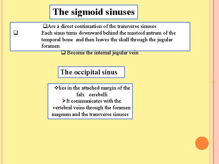 The sigmoid sinuses Are a direct continuation of the transverse sinuses Each sinus turns
