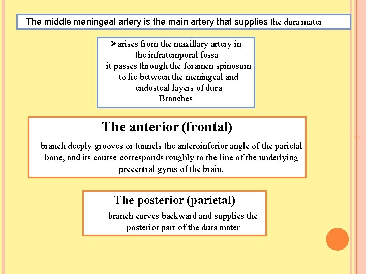 The middle meningeal artery is the main artery that supplies the dura mater arises