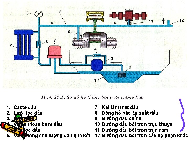 1. 2. 3. 4. 5. 6. Cacte dầu Lưới lọc dầu Bơm dầu Van