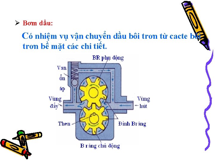 Ø Bơm dầu: Có nhiệm vụ vận chuyển dầu bôi trơn từ cacte bôi