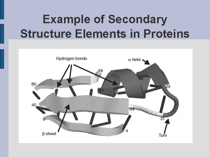 Example of Secondary Structure Elements in Proteins fig. SSDEMO. eps 