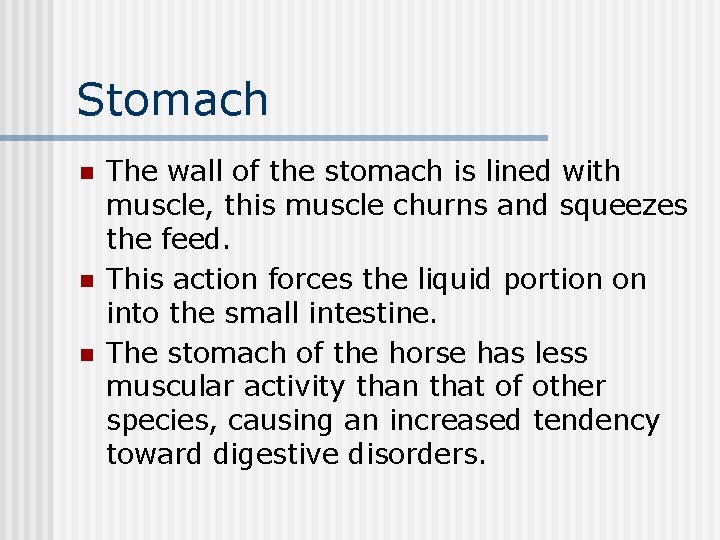 Stomach n n n The wall of the stomach is lined with muscle, this