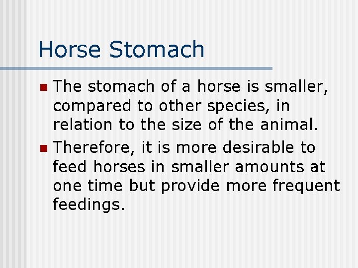 Horse Stomach The stomach of a horse is smaller, compared to other species, in