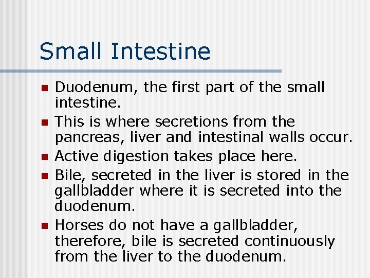 Small Intestine n n n Duodenum, the first part of the small intestine. This