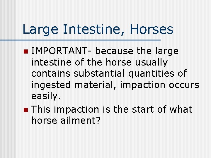 Large Intestine, Horses IMPORTANT- because the large intestine of the horse usually contains substantial