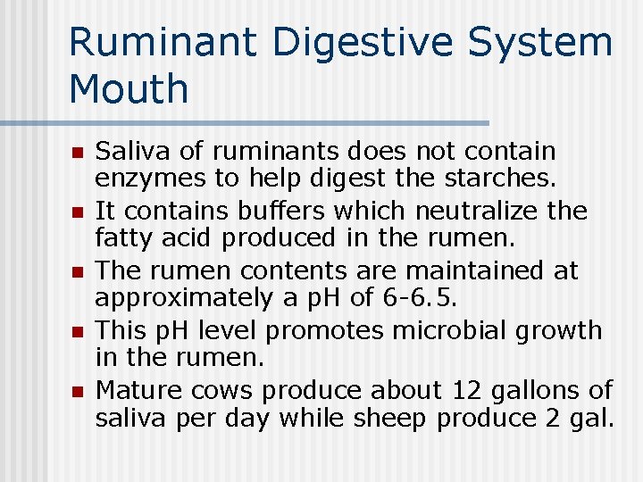Ruminant Digestive System Mouth n n n Saliva of ruminants does not contain enzymes
