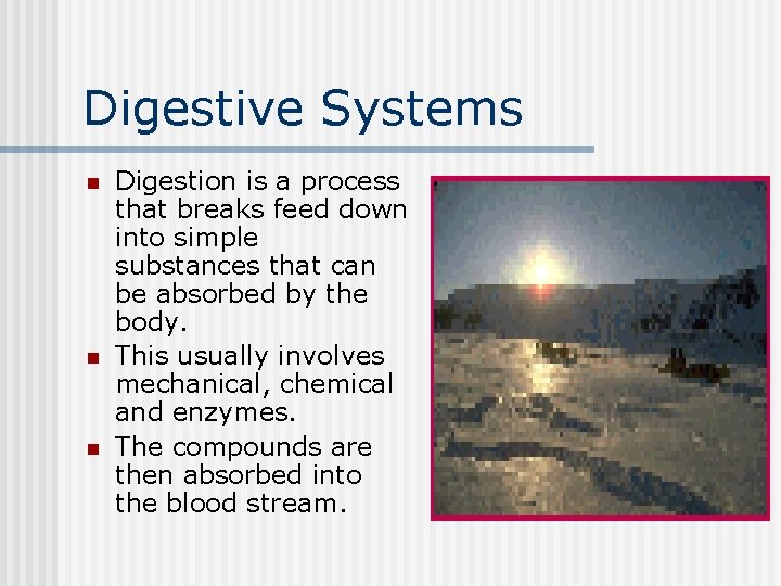 Digestive Systems n n n Digestion is a process that breaks feed down into