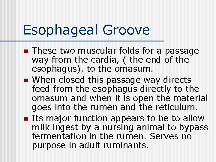 Esophageal Groove n n n These two muscular folds for a passage way from