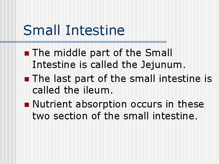 Small Intestine The middle part of the Small Intestine is called the Jejunum. n