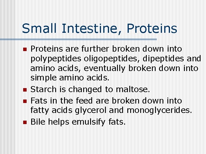 Small Intestine, Proteins n n Proteins are further broken down into polypeptides oligopeptides, dipeptides