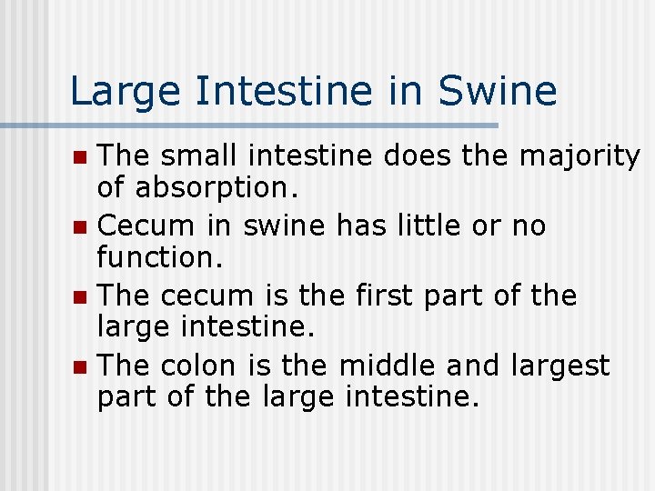 Large Intestine in Swine The small intestine does the majority of absorption. n Cecum