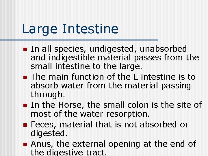 Large Intestine n n n In all species, undigested, unabsorbed and indigestible material passes