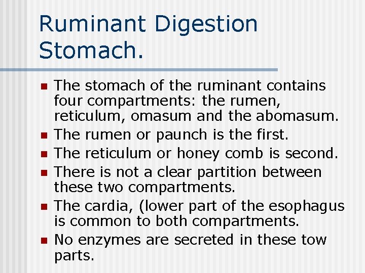 Ruminant Digestion Stomach. n n n The stomach of the ruminant contains four compartments: