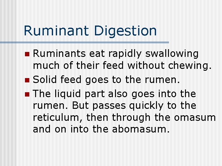 Ruminant Digestion Ruminants eat rapidly swallowing much of their feed without chewing. n Solid