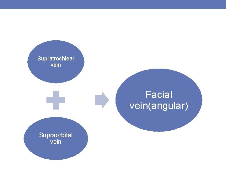 Supratrochlear vein Facial vein(angular) Supraorbital vein 