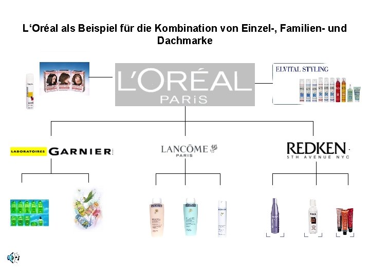 L‘Oréal als Beispiel für die Kombination von Einzel-, Familien- und Dachmarke 