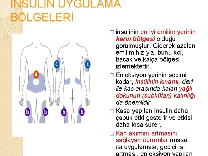 İNSÜLİN UYGULAMA BÖLGELERİ � insülinin en iyi emilim yerinin karın bölgesi olduğu görülmüştür. Giderek