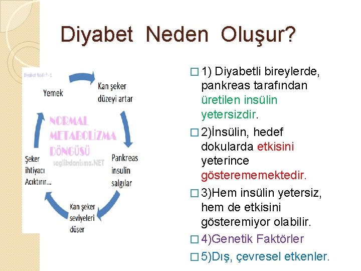 Diyabet Neden Oluşur? � 1) Diyabetli bireylerde, pankreas tarafından üretilen insülin yetersizdir. � 2)İnsülin,