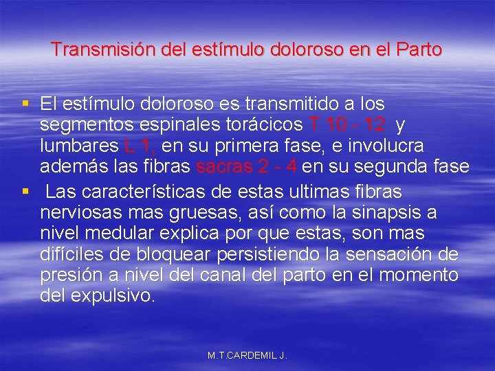 Transmisión del estímulo doloroso en el Parto § El estímulo doloroso es transmitido a