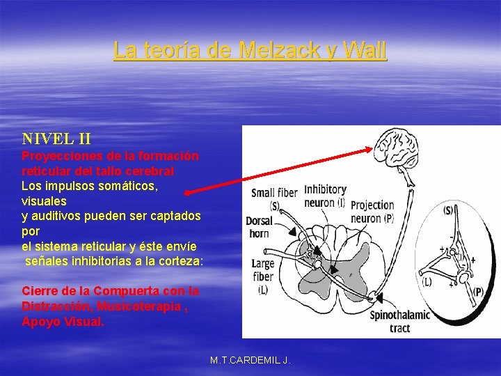 La teoría de Melzack y Wall NIVEL II Proyecciones de la formación reticular del