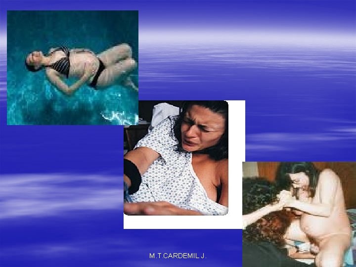 M. T. CARDEMIL J. 