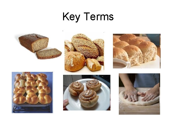 Key Terms 