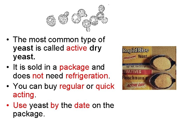  • The most common type of yeast is called active dry yeast. •