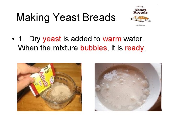Making Yeast Breads • 1. Dry yeast is added to warm water. When the
