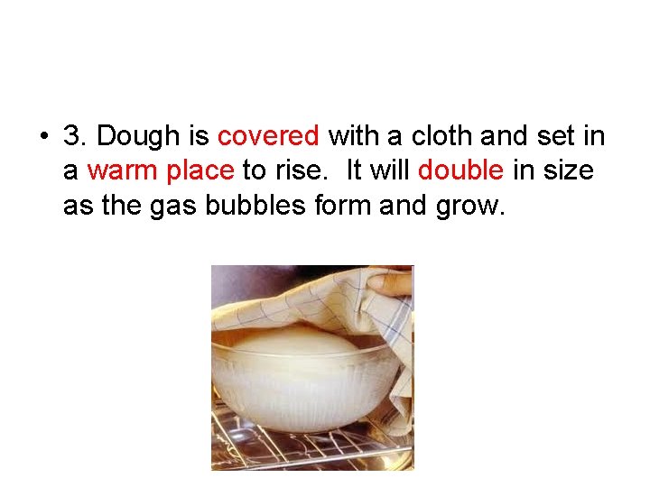  • 3. Dough is covered with a cloth and set in a warm