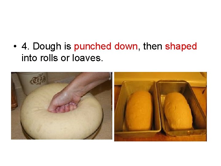  • 4. Dough is punched down, then shaped into rolls or loaves. 