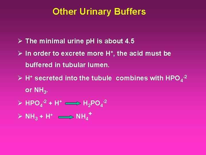 Other Urinary Buffers Ø The minimal urine p. H is about 4. 5 Ø