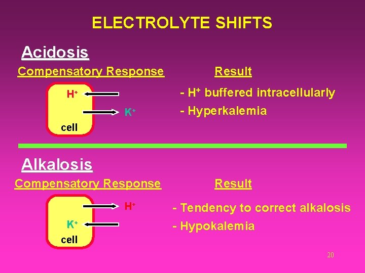ELECTROLYTE SHIFTS Acidosis Compensatory Response H+ K+ Result - H+ buffered intracellularly - Hyperkalemia