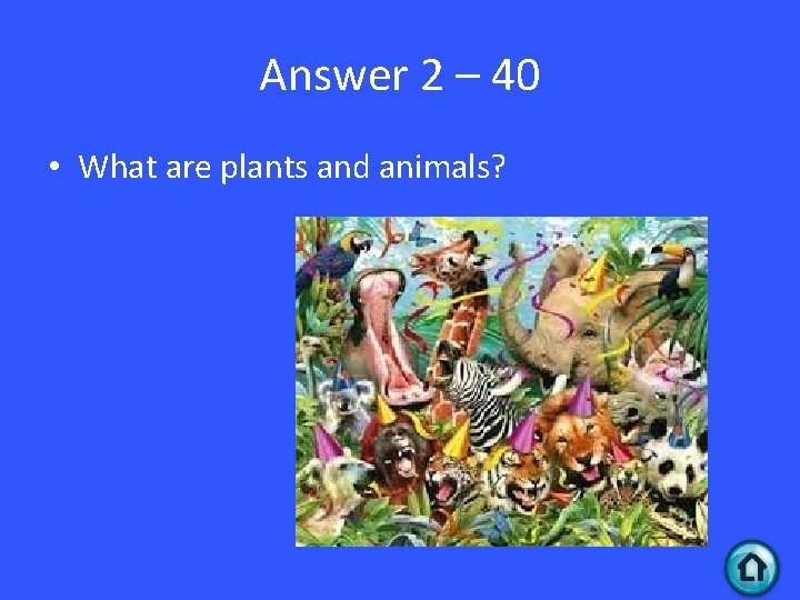 Answer 2 – 40 • What are plants and animals? 