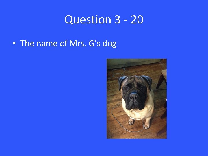 Question 3 - 20 • The name of Mrs. G’s dog 