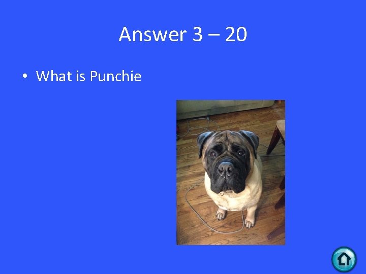 Answer 3 – 20 • What is Punchie 