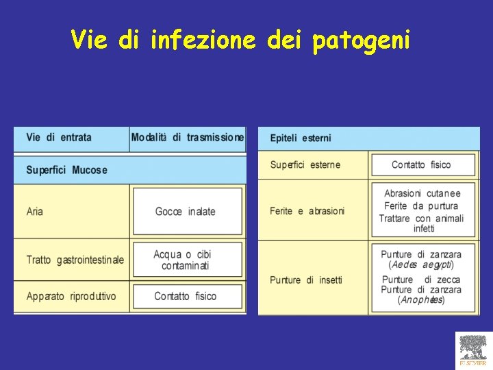 Vie di infezione dei patogeni 