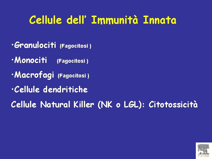 Cellule dell’ Immunità Innata • Granulociti (Fagocitosi ) • Monociti (Fagocitosi ) • Macrofagi