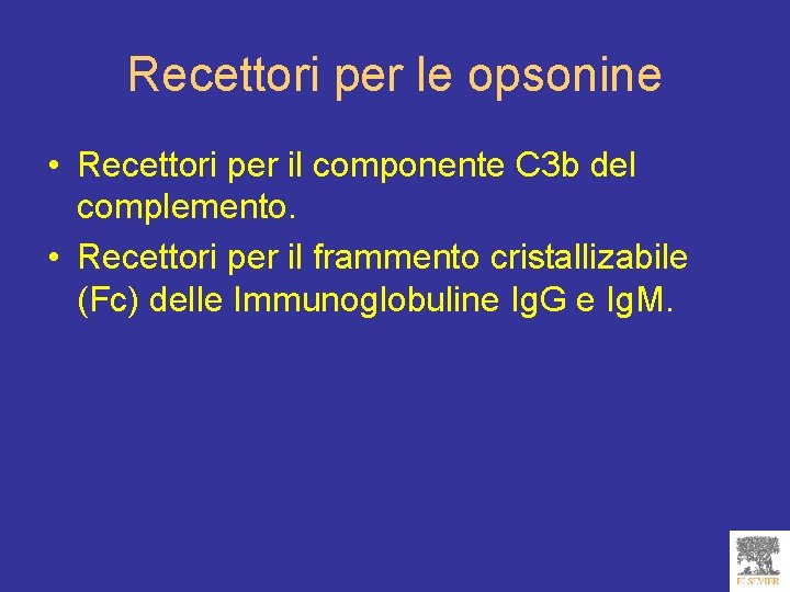 Recettori per le opsonine • Recettori per il componente C 3 b del complemento.