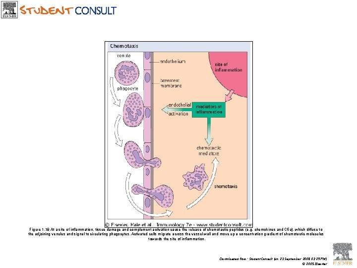 Figure 1. 18 At a site of inflammation, tissue damage and complement activation cause