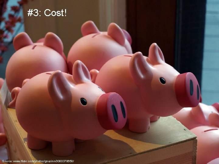 #3: Cost! Source: www. flickr. com/photos/gnusinn/3080378658/ 