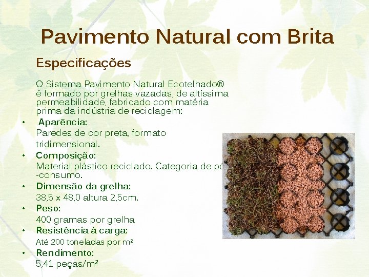 Pavimento Natural com Brita Especificações • • • O Sistema Pavimento Natural Ecotelhado® é