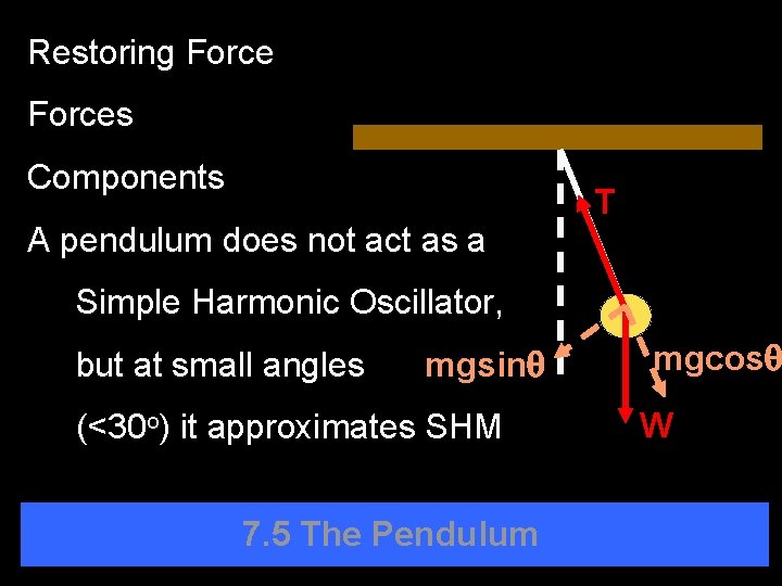 Restoring Forces Components A pendulum does not act as a T Simple Harmonic Oscillator,