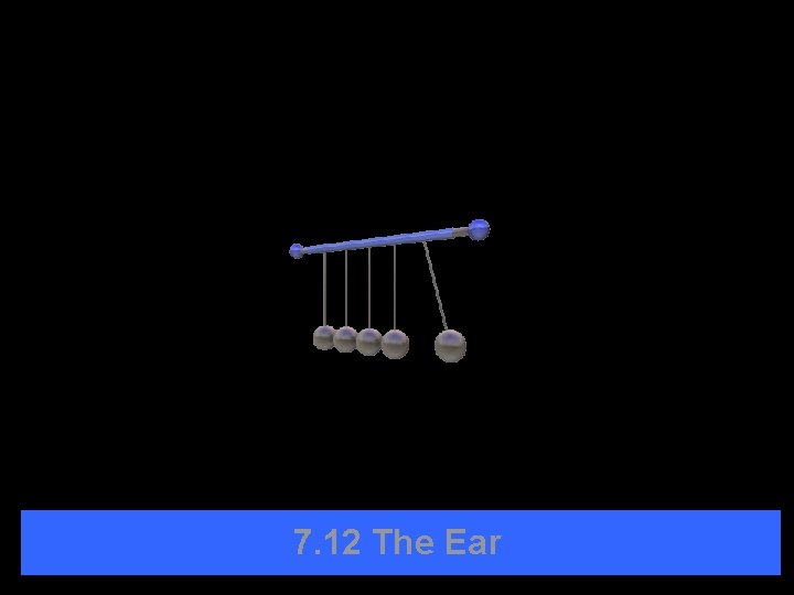 7. 12 The Ear 