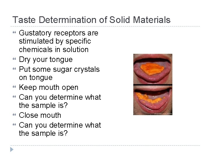 Taste Determination of Solid Materials Gustatory receptors are stimulated by specific chemicals in solution