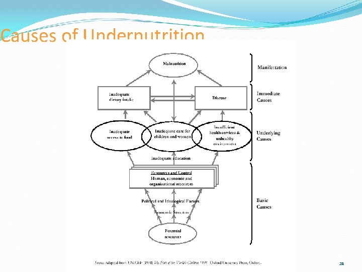 Causes of Undernutrition 21 