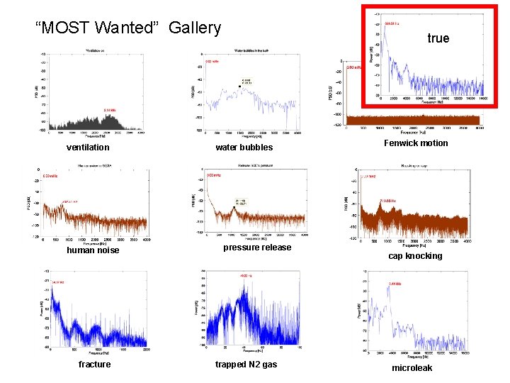 “MOST Wanted” Gallery ventilation human noise fracture true water bubbles pressure release trapped N
