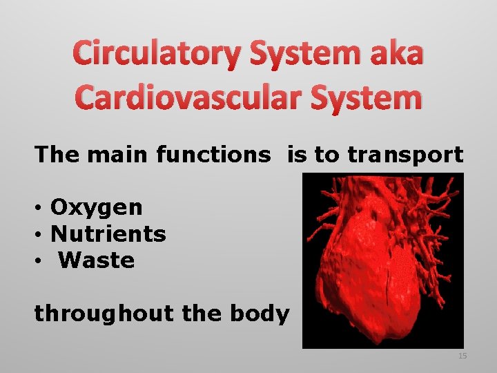 Circulatory System aka Cardiovascular System The main functions is to transport • Oxygen •